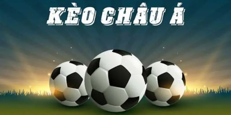 Các chiến lược cá cược hiệu quả tại 8xbet